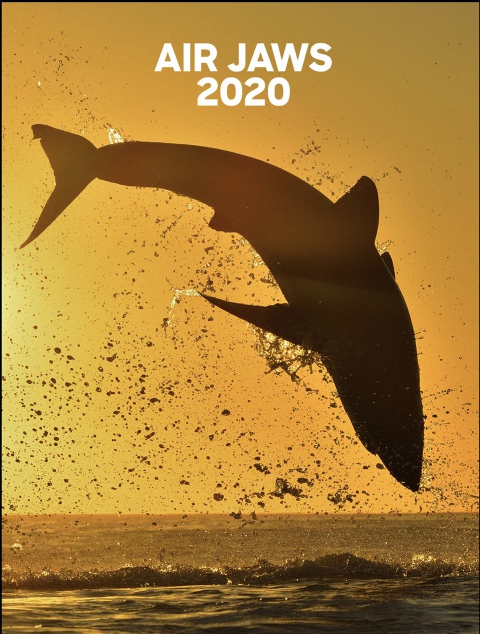 poster movie Air Jaws: 2020
