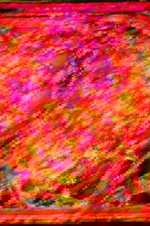 Content cover