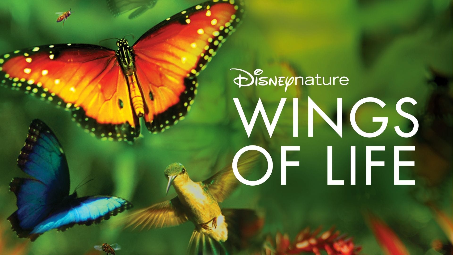 Wings of Life (2011)