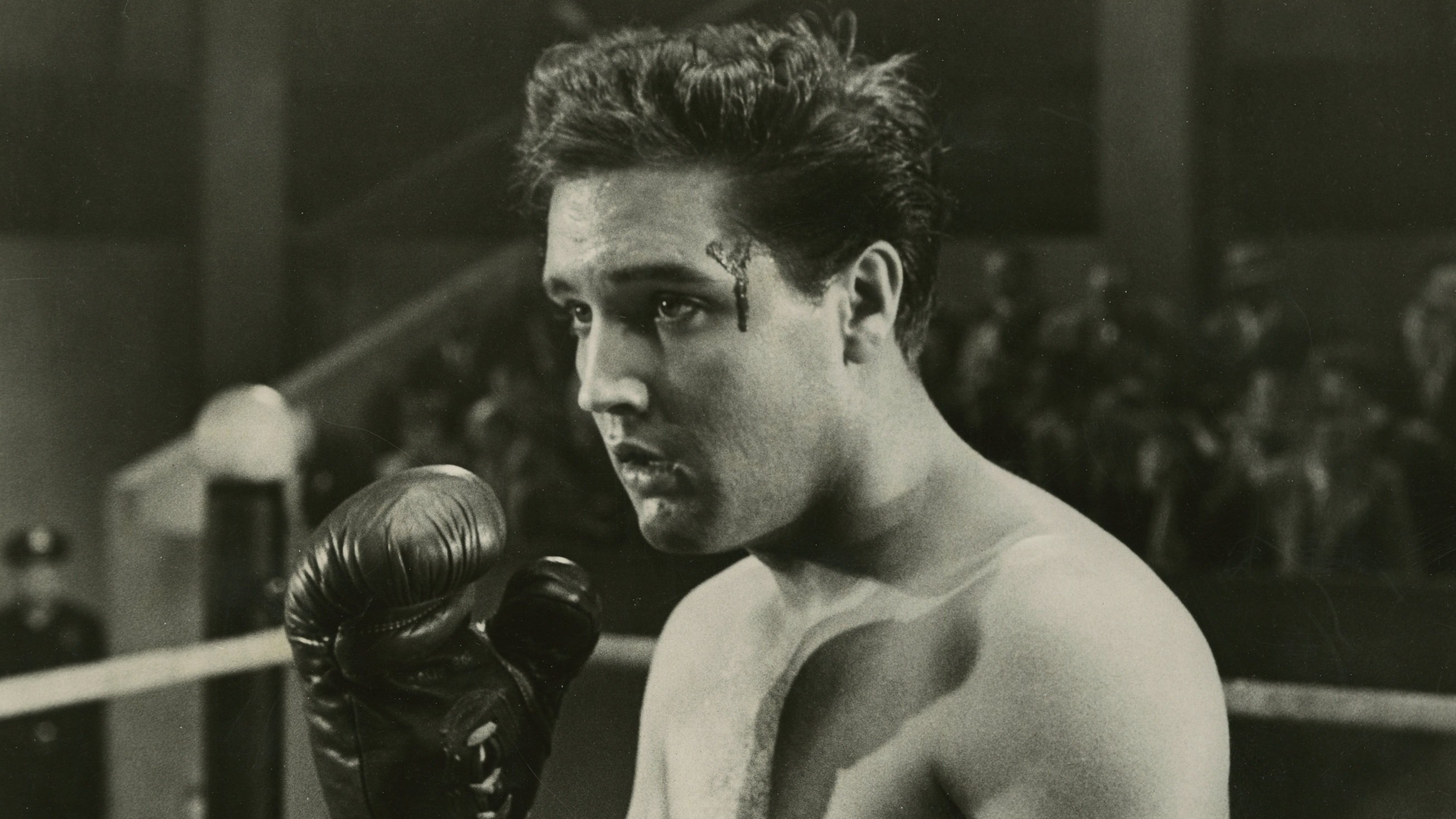 Kid Galahad (1962)