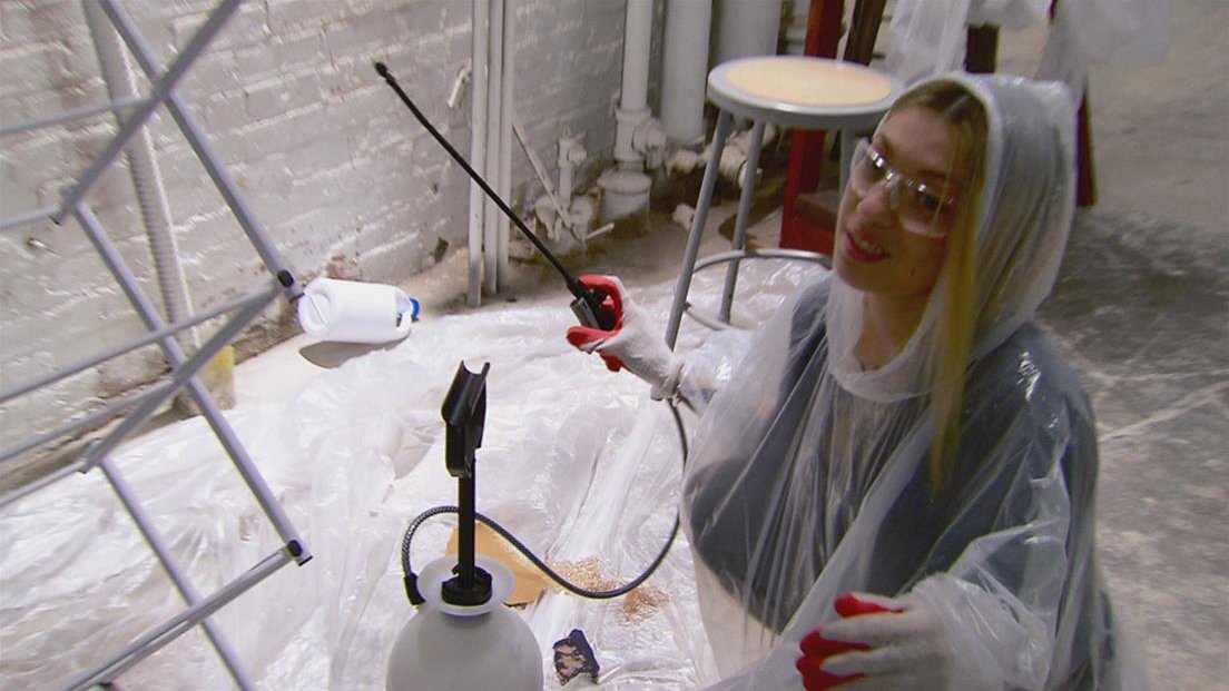 Project Runway All Stars