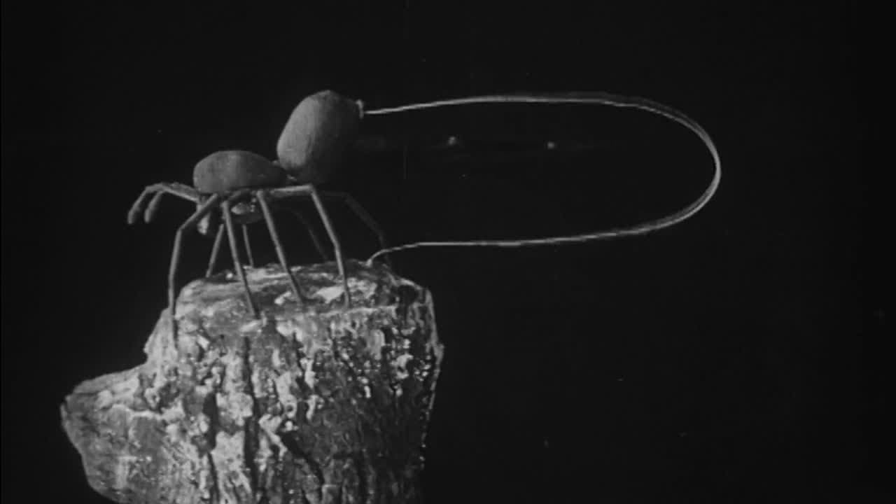 To Demonstrate How Spiders Fly (1909)