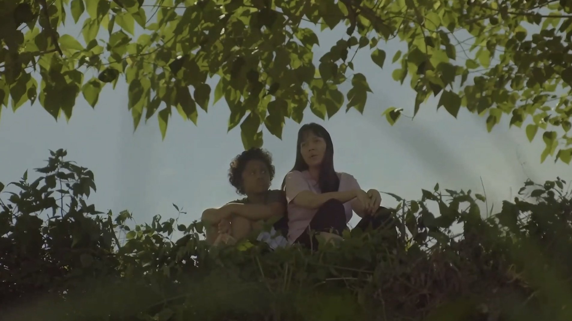 Sol Searching (2018)