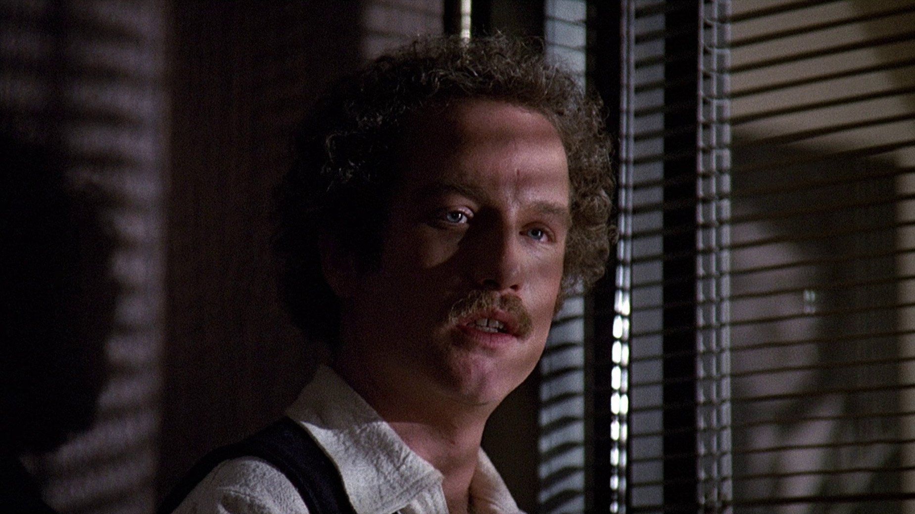 The Big Fix (1978)