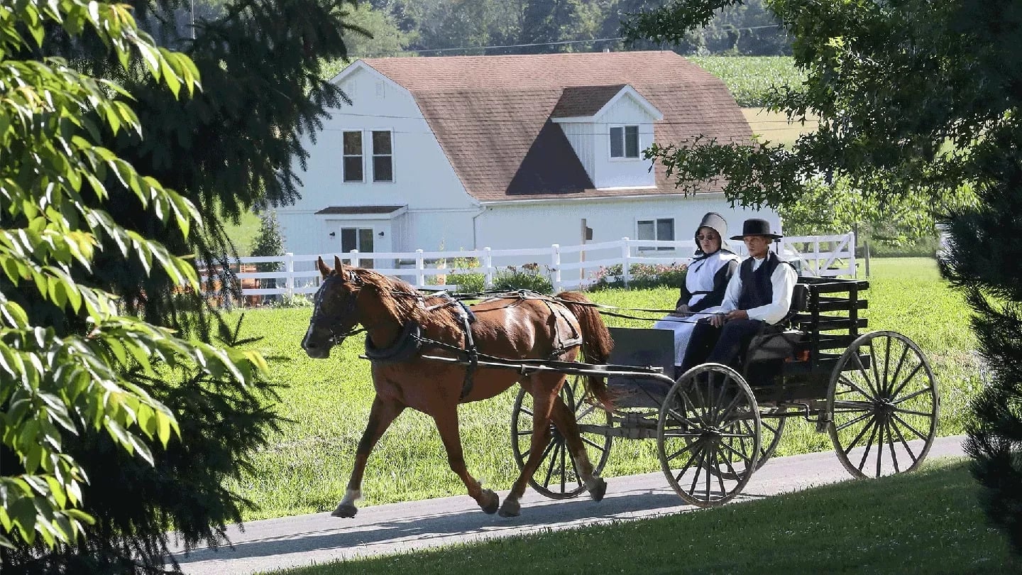 En Terre Amish