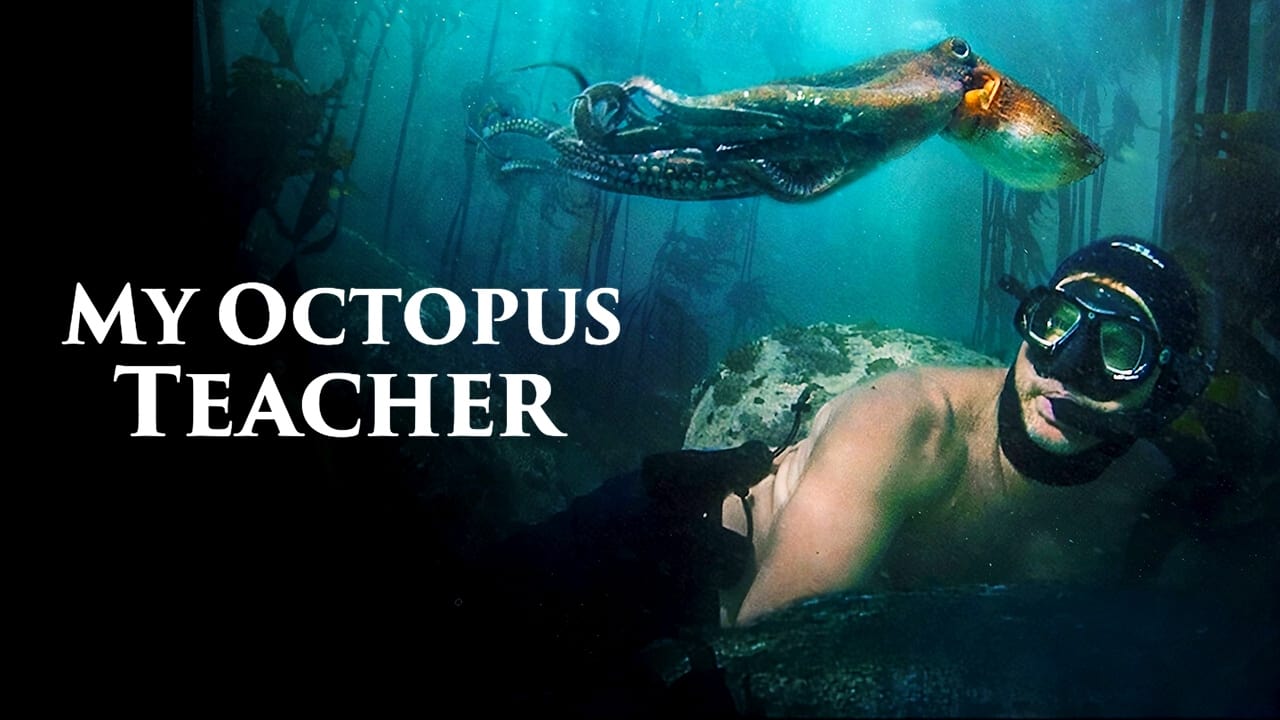 My Octopus Teacher (2020)