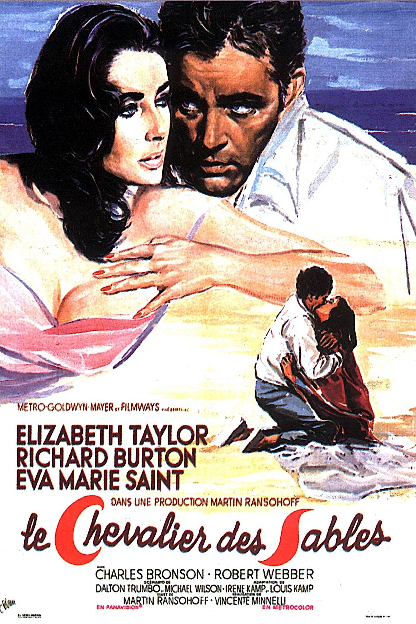 Affiche du film Le Chevalier des sables 8790