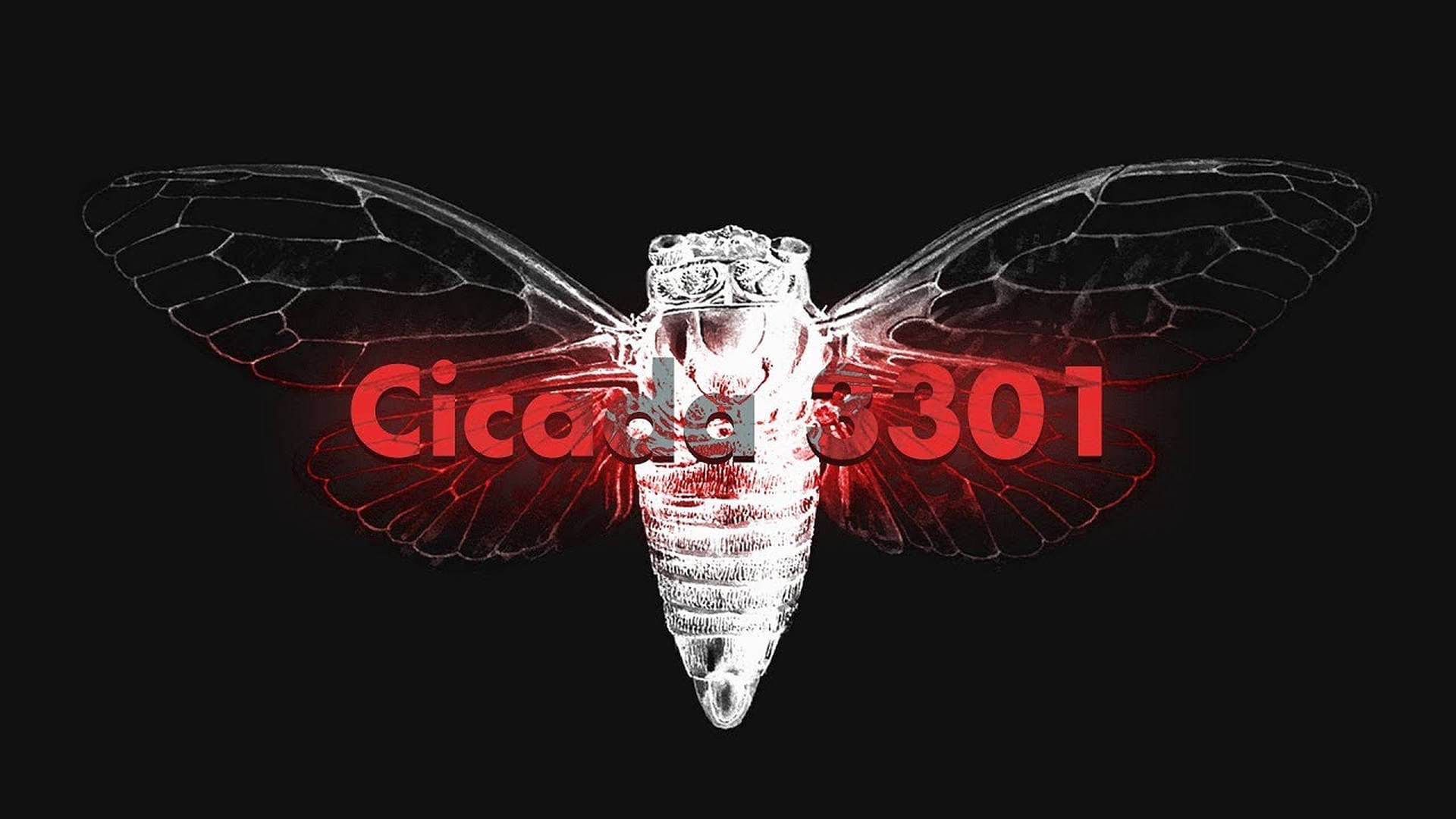 Cicada 3301: An Internet Mystery (2018)