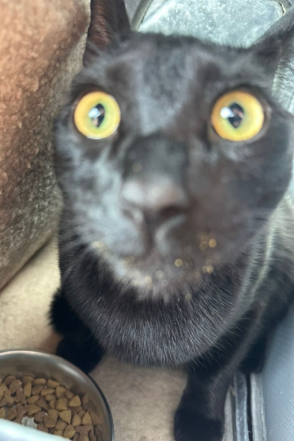 et billede af Bean Burrito Beynon