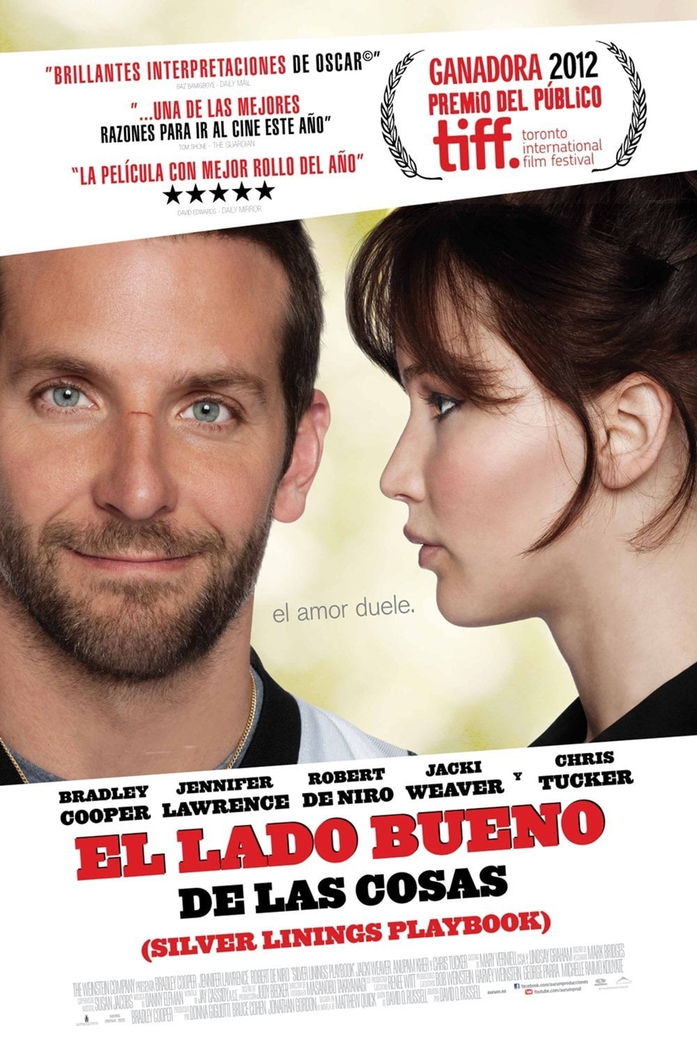 Silver Linings Playbook