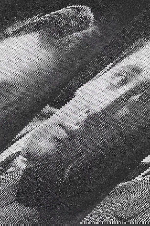 et billede af William Stelling