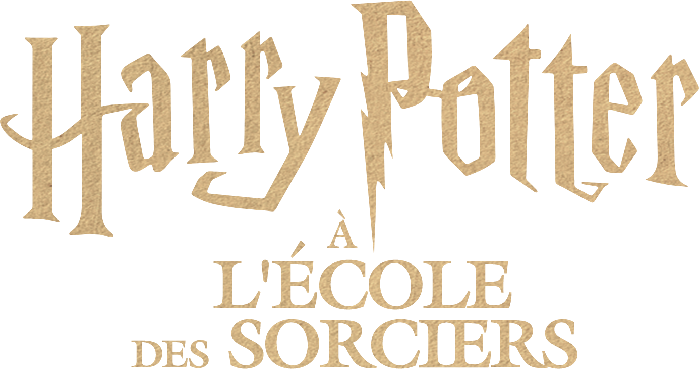 Harry Potter à l&rsquo;école des sorciers
