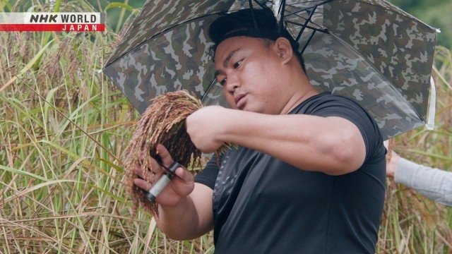 Asia Insight - Épisode 5