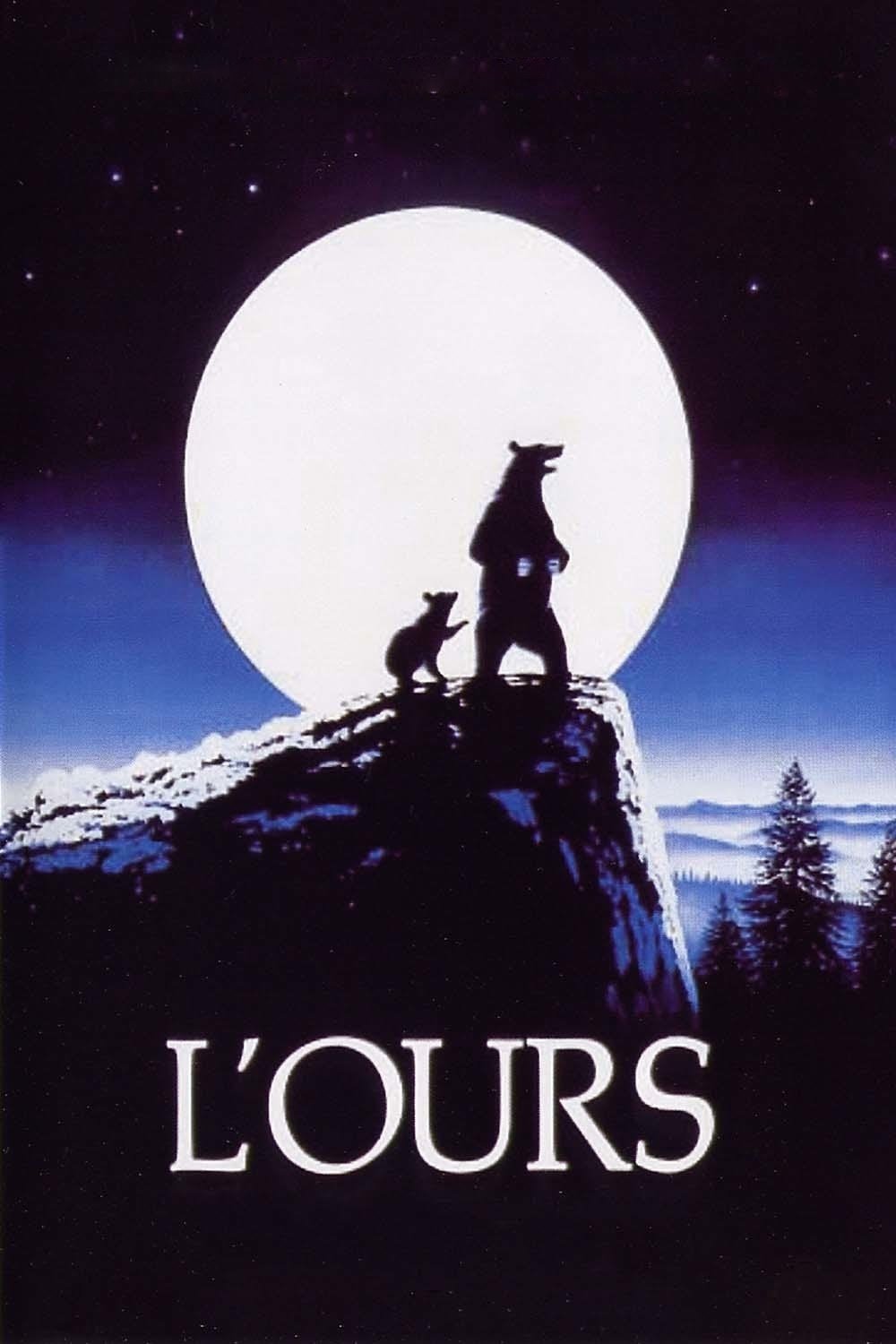 L'Ours streaming