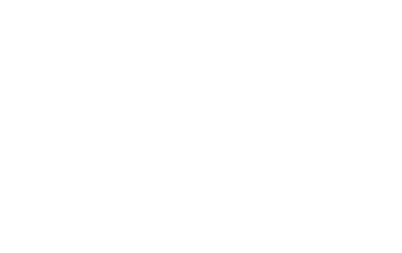 Junior Bonner Logo