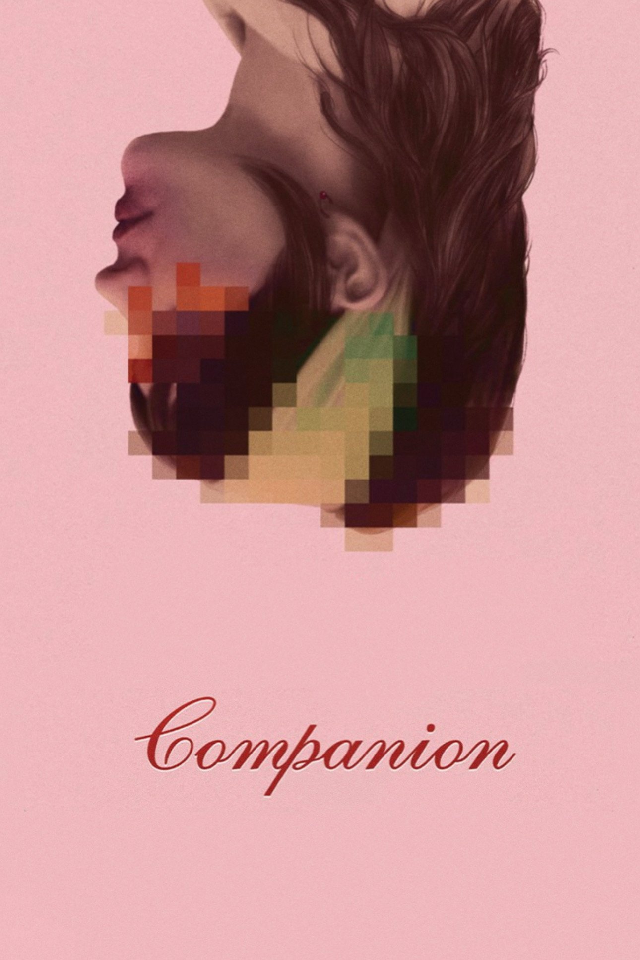 Companion