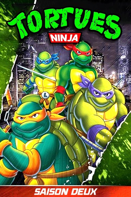 Artwork de la saison 1 de Les Tortues Ninja : Les Chevaliers d'écaille