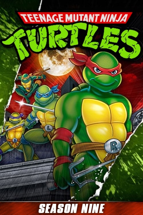 Teenage Mutant Ninja Turtles Season 9