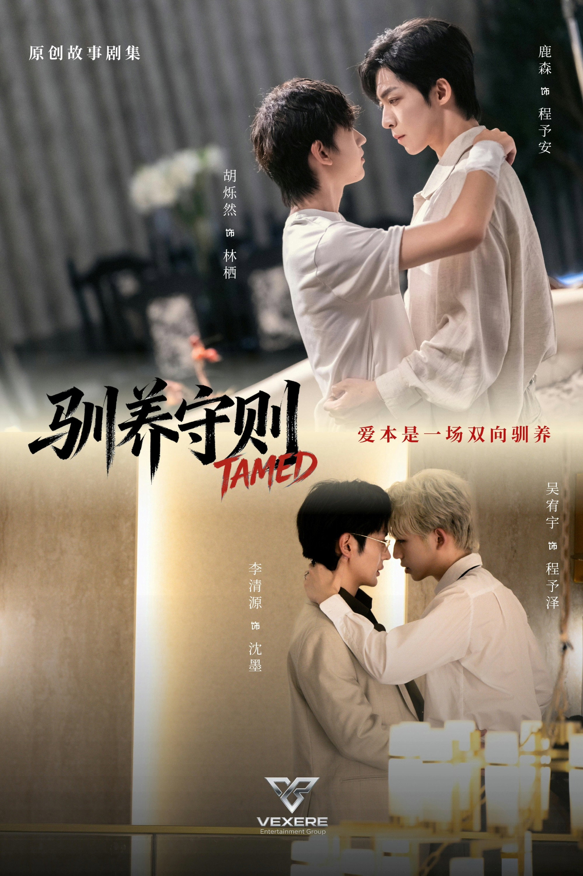TAMED poster