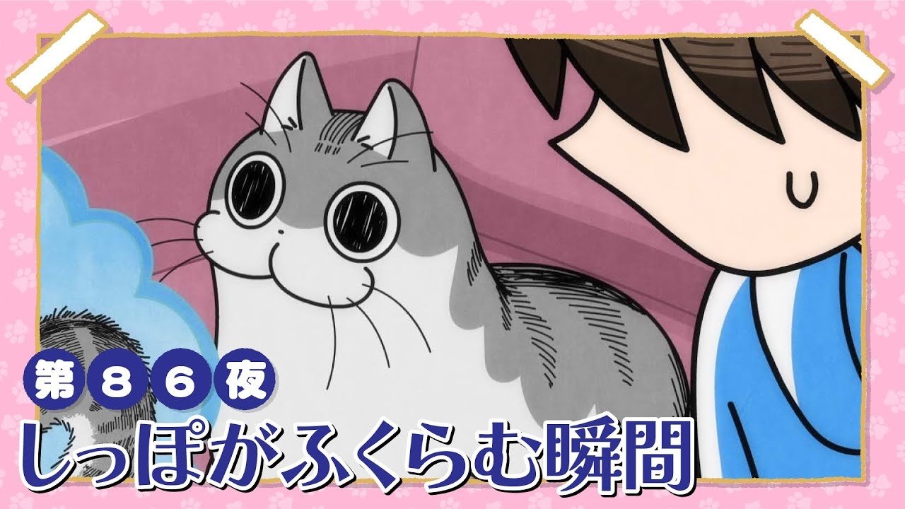 Episode 86