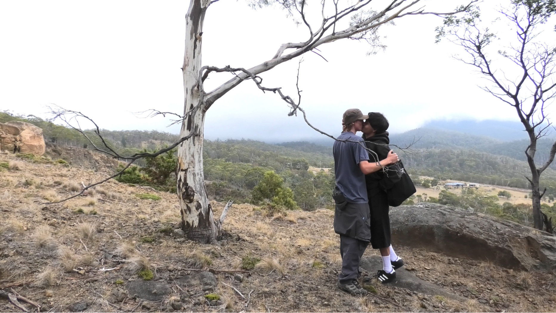 Year of the Horse Backdrop Blur