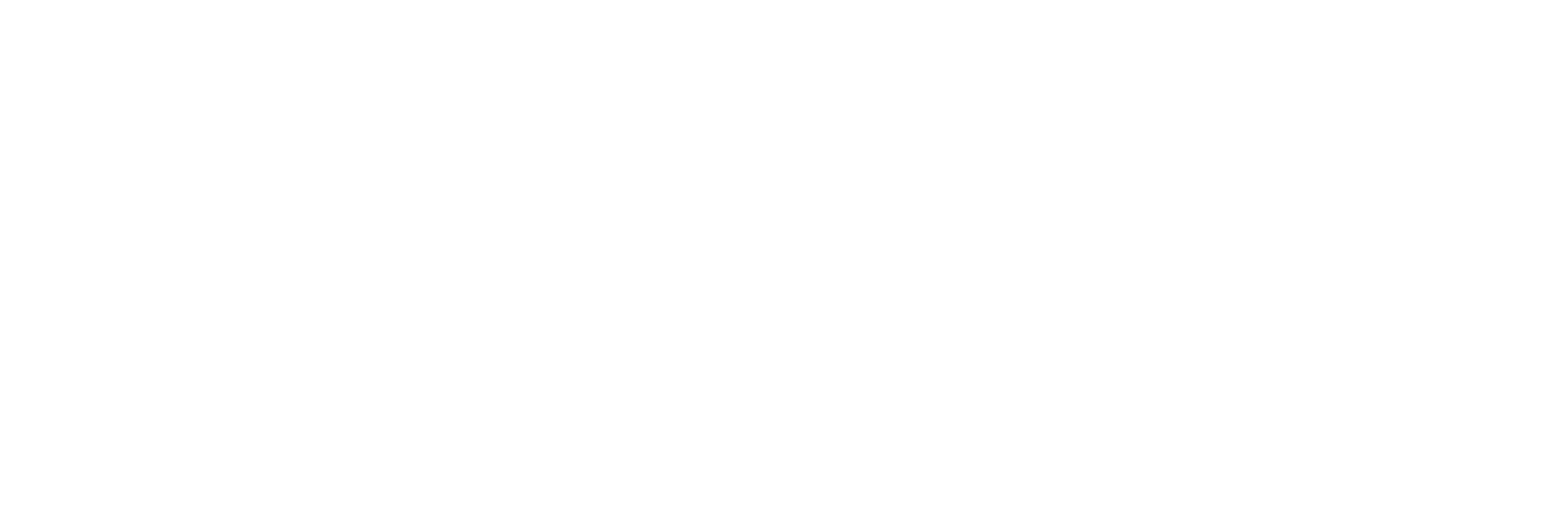 Wedding of a Lifetime Logo