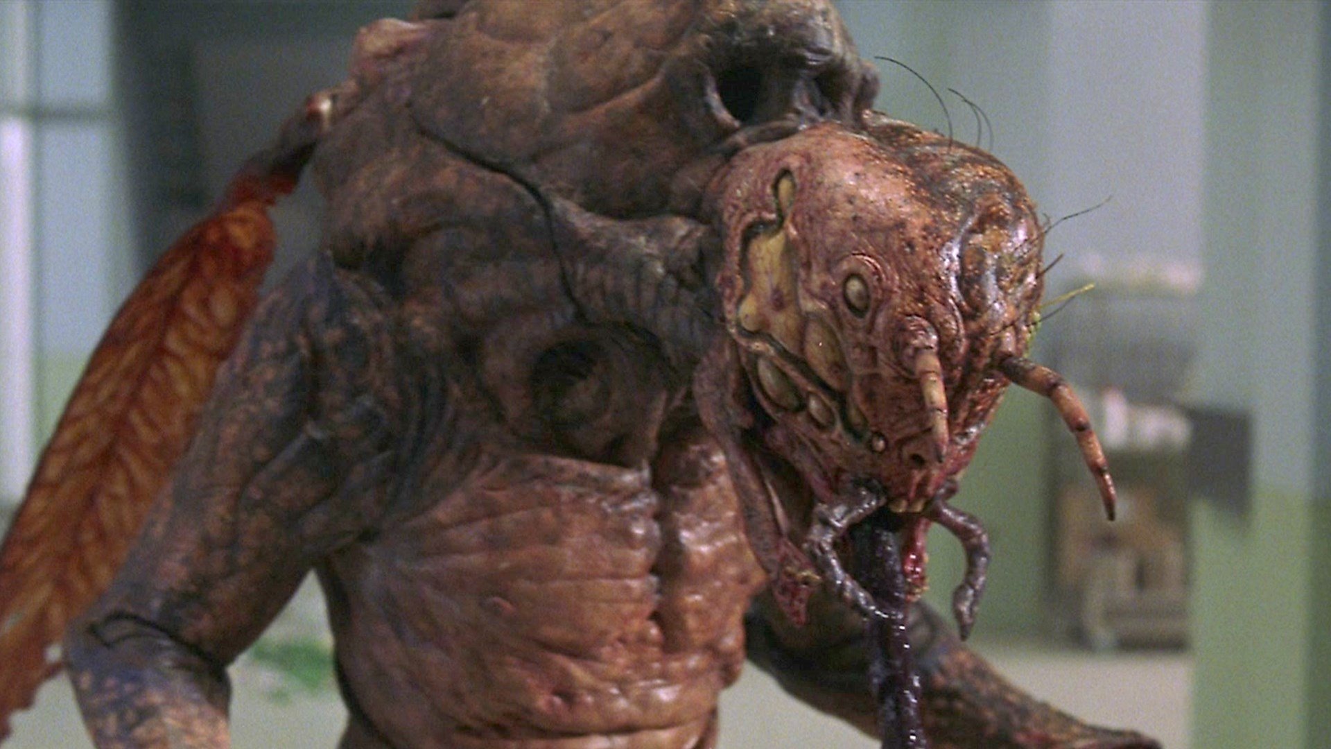 Mosquito Man (2005)