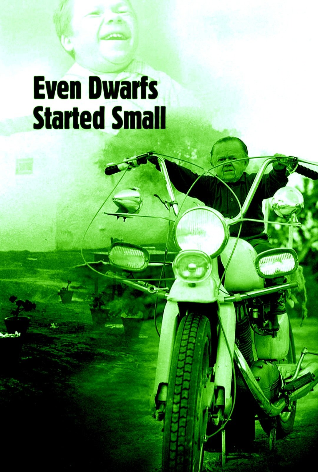 Even Dwarfs Started Small