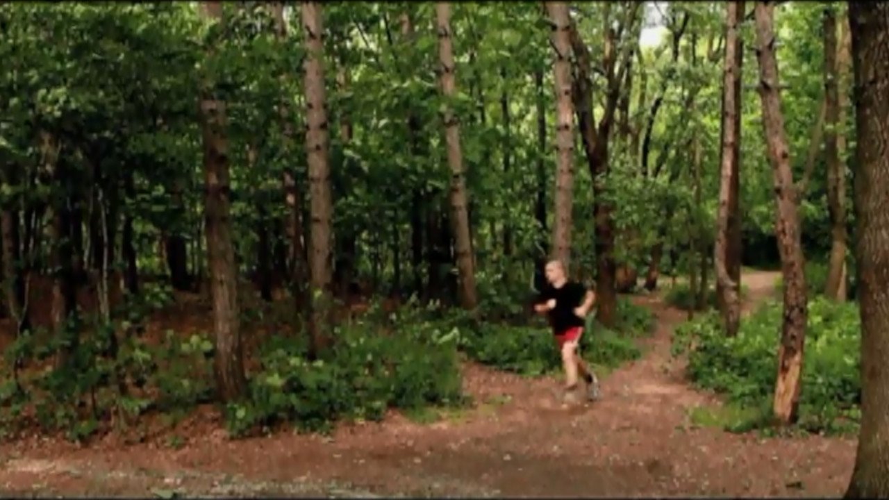 Why Do We Fall? (2012)