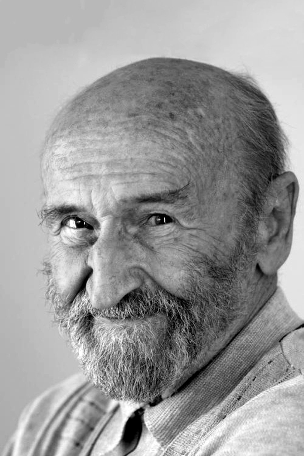 et billede af Hannes Stelzer