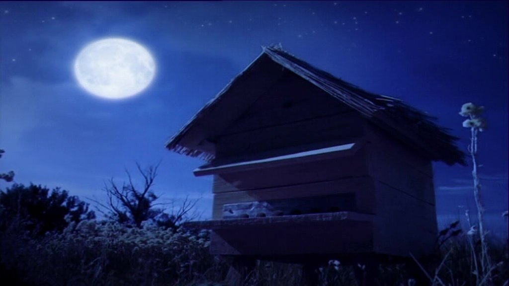 Sleepless Night