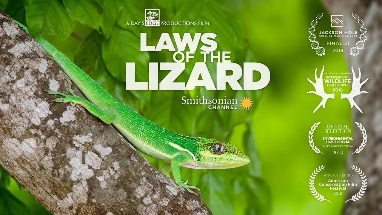 Laws of the Lizard (2017)