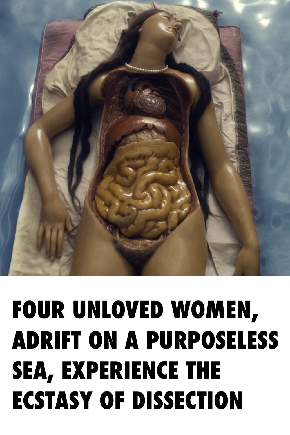 Four Unloved Women, Adrift on a Purposeless Sea, Experience the Ecstasy of Dissection