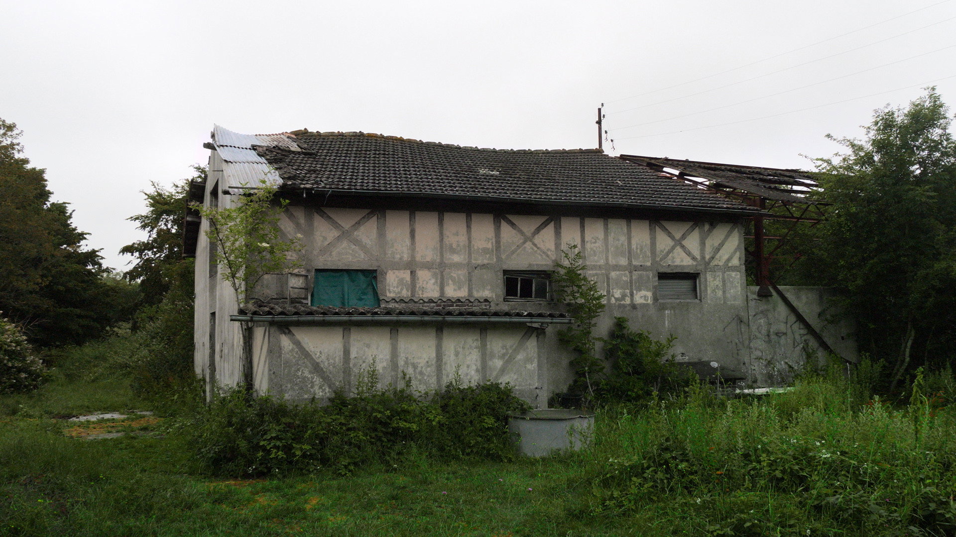 Assika : Jusqu'au sang