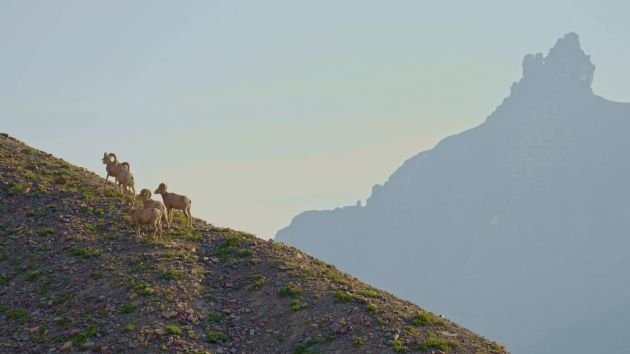 The Wonder List with Bill Weir - Épisode 1