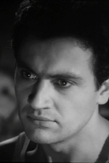 et billede af Valerian Vinogradov