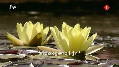 Wie is de Mol? - Épisode 6