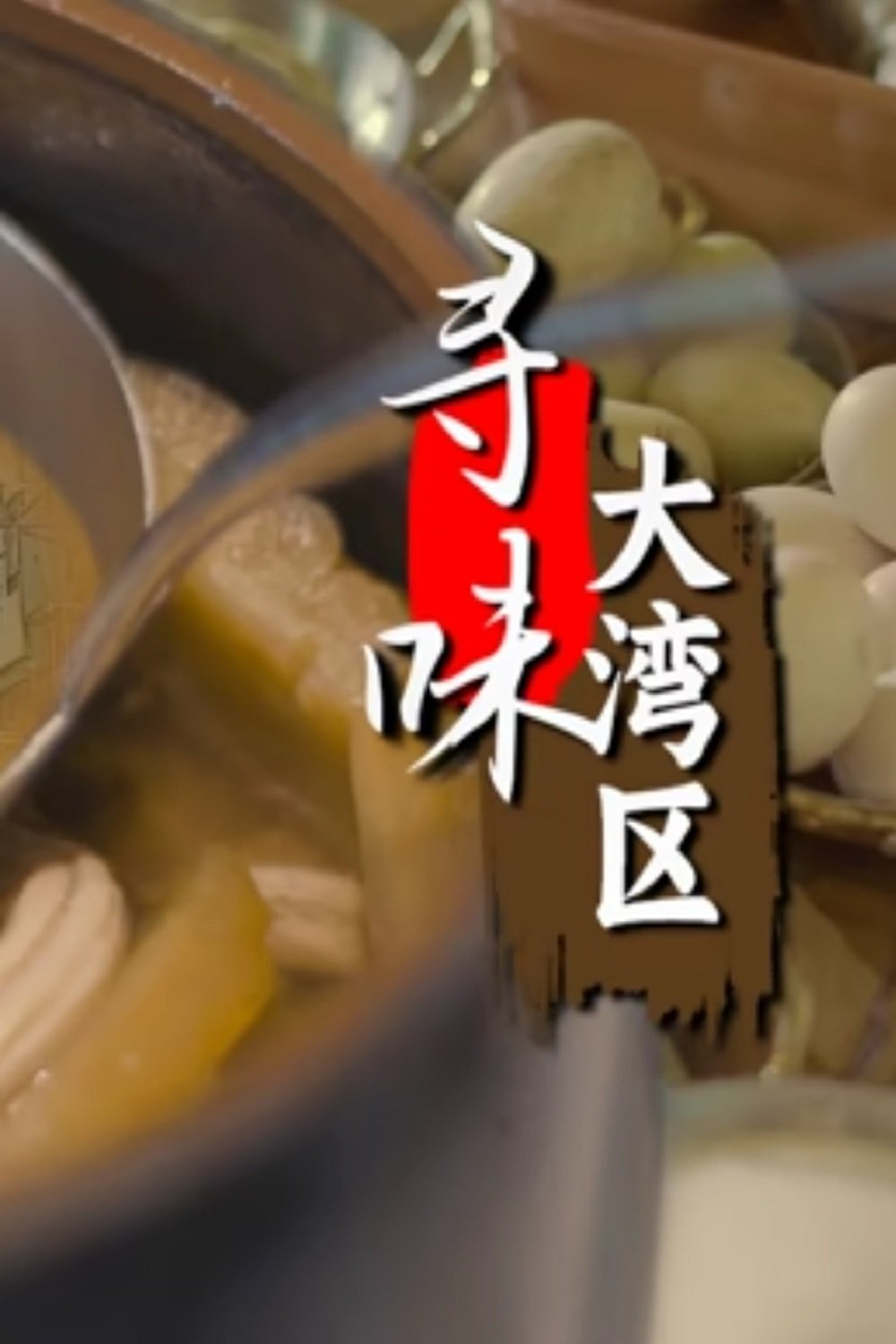 寻味大湾区