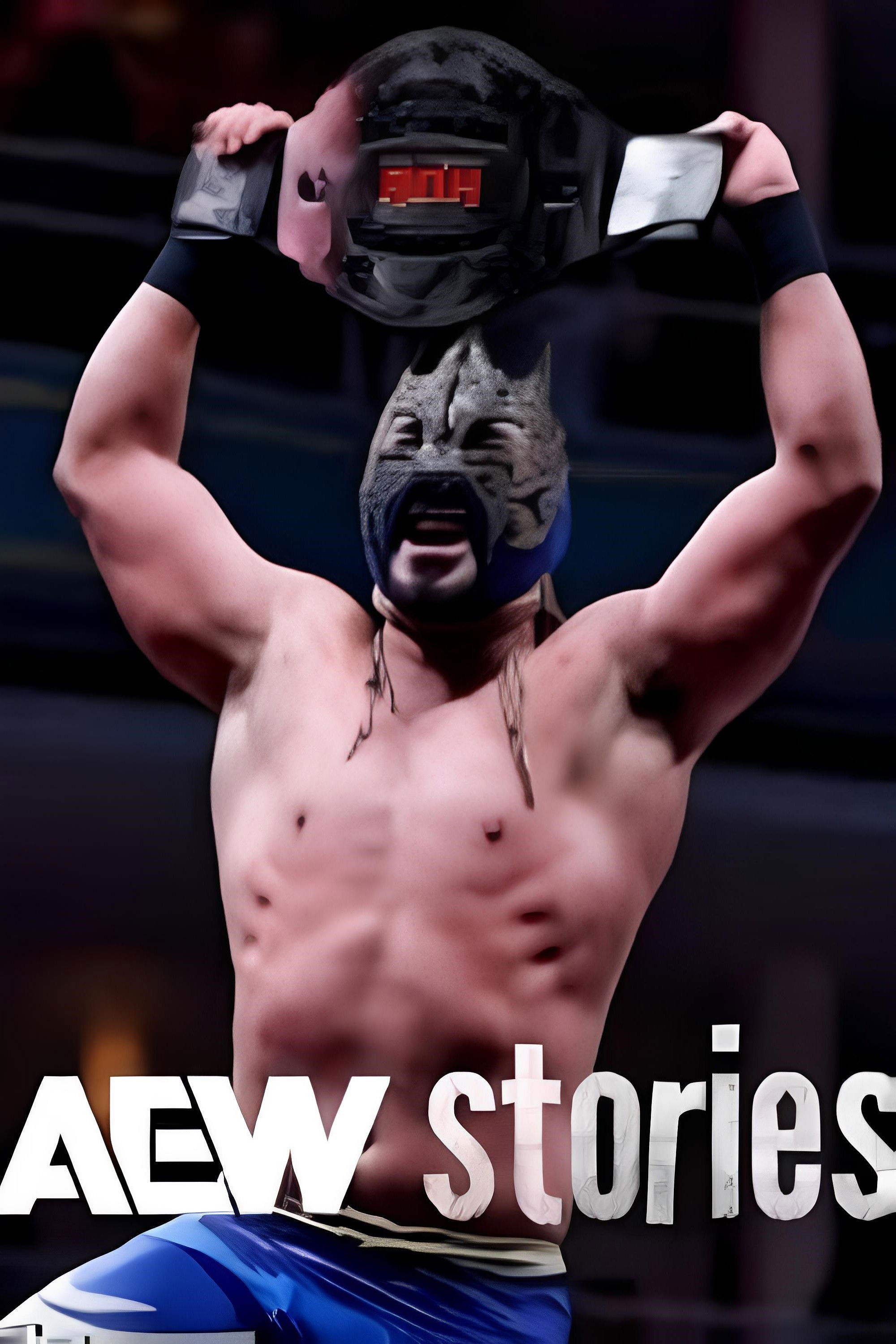 AEW Stories: ROH World Television Champion Komander