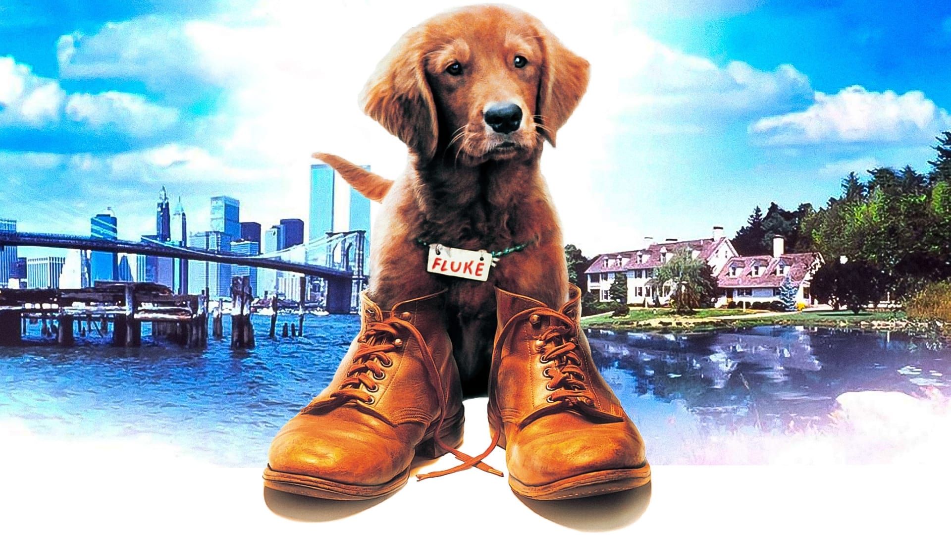 Kutyavilág (1995)