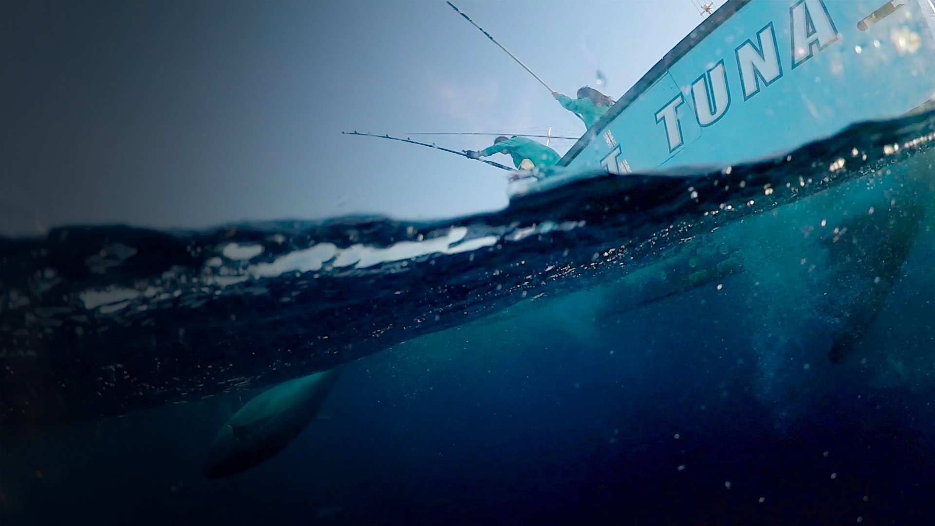 Wicked Tuna: Outer Banks