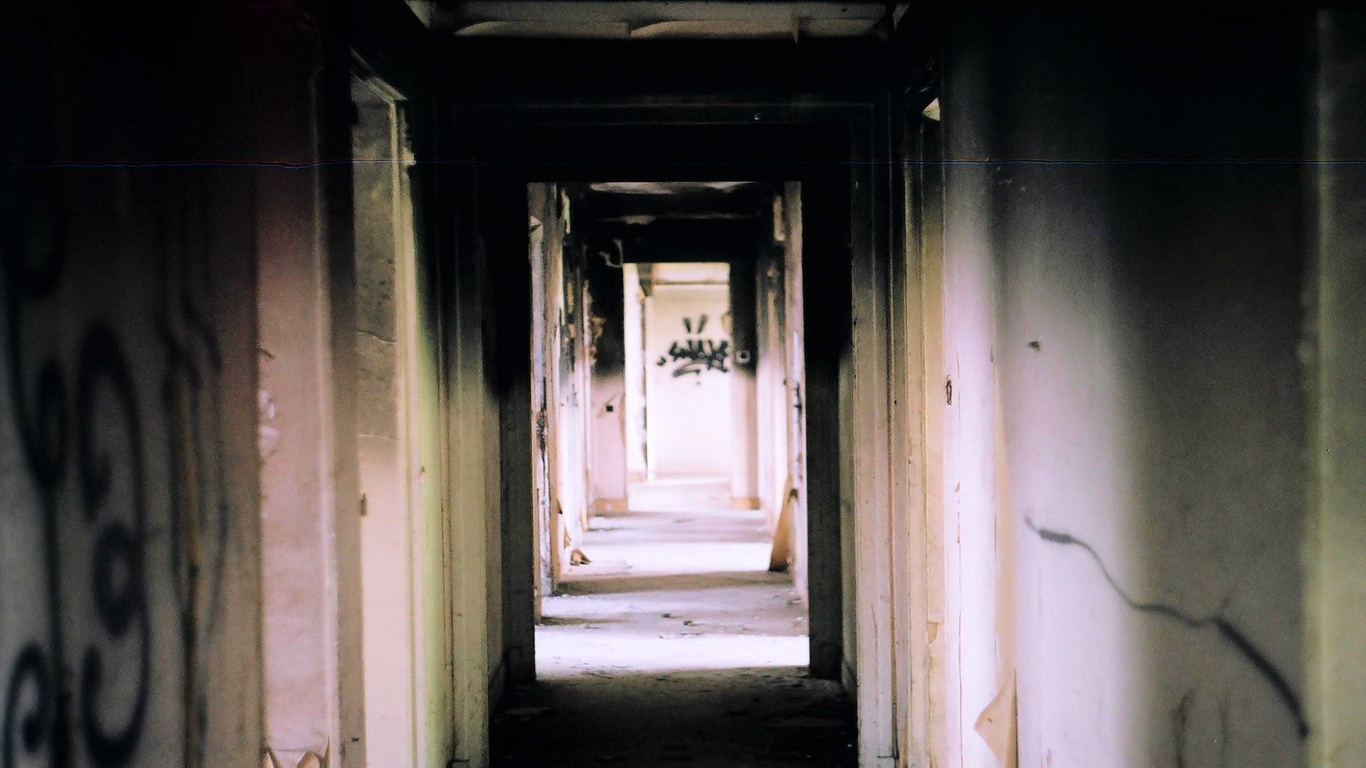 Bad Tenants, Rogue Landlords background