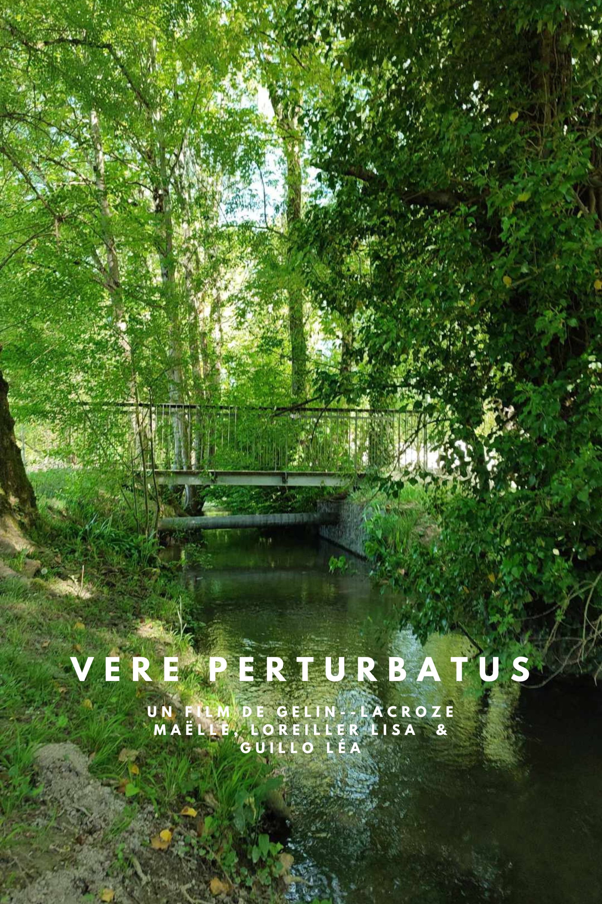 Vere Perturbatus