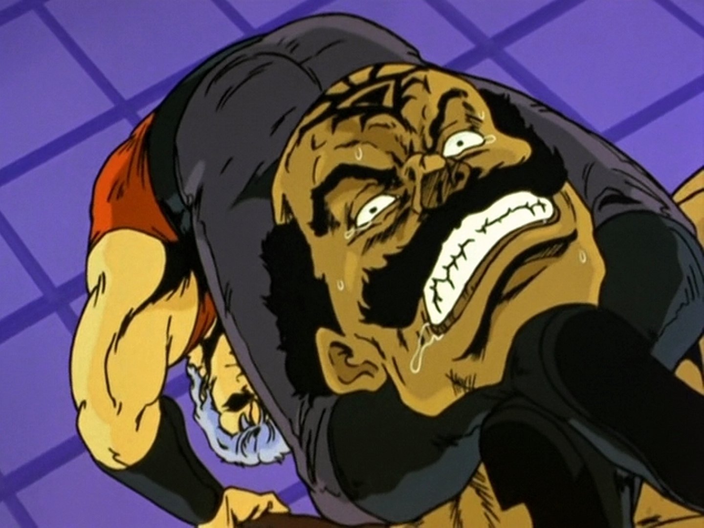 Fist of the North Star