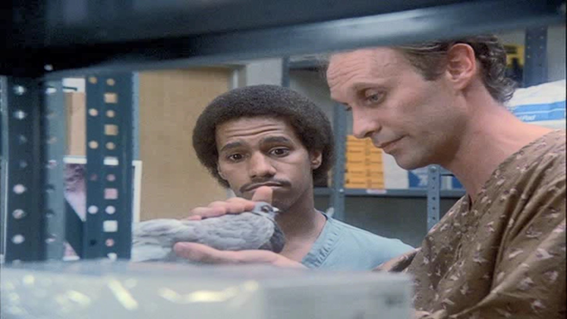 St. Elsewhere