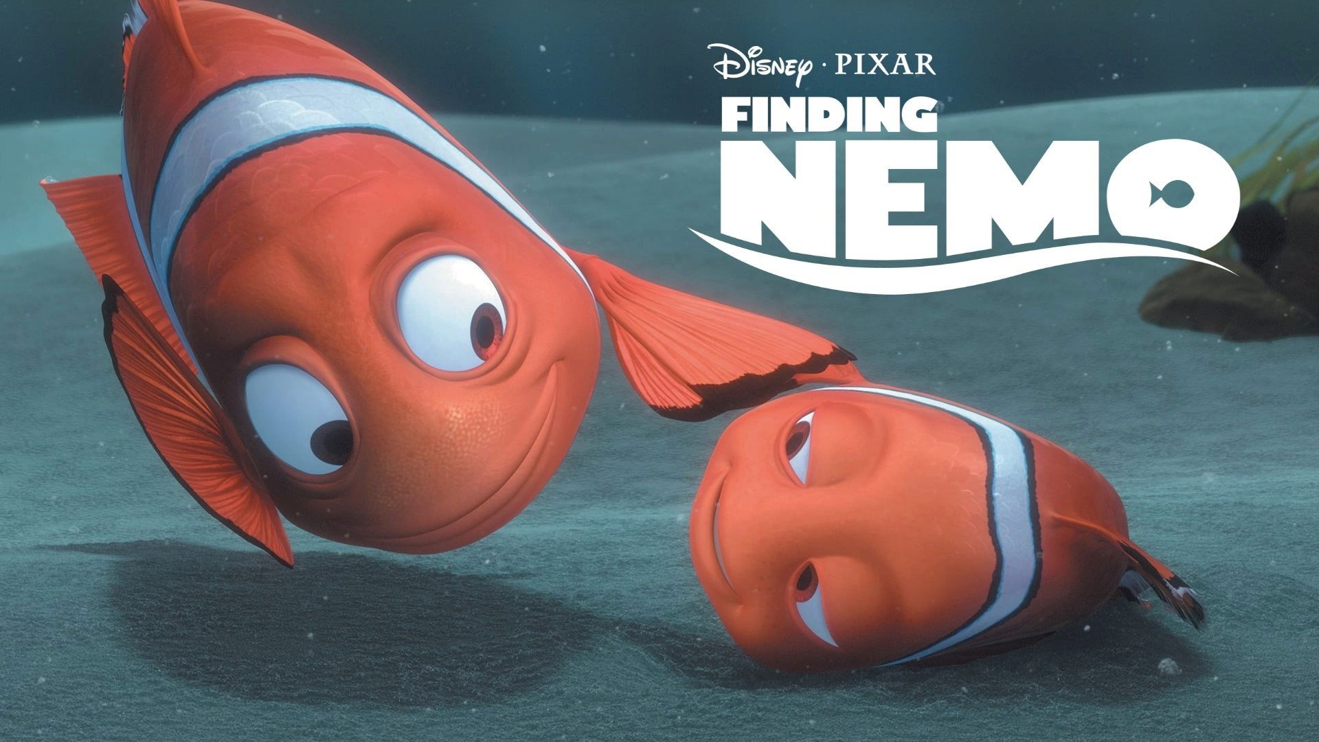 Buscando a Nemo