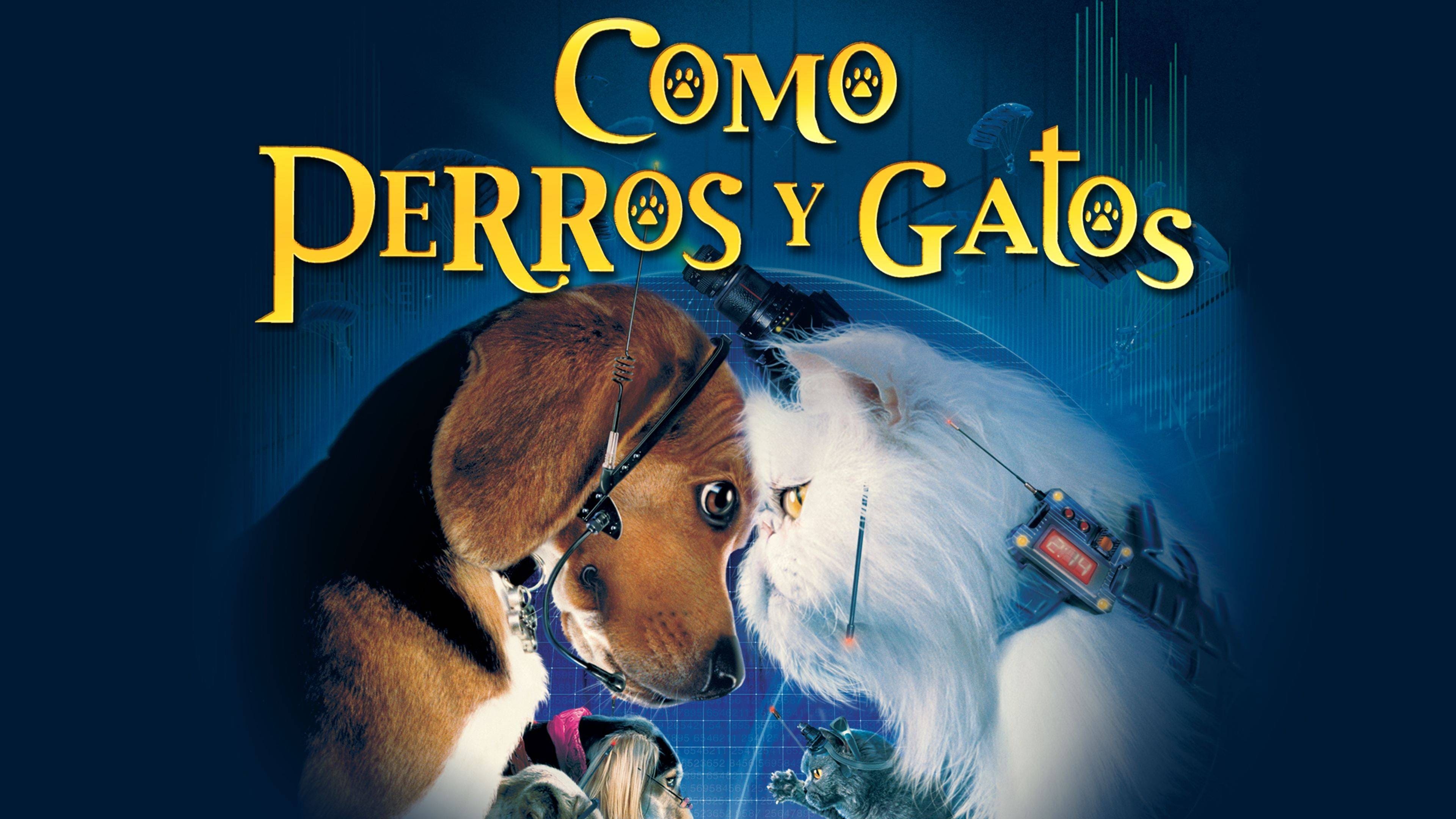 Cats & Dogs