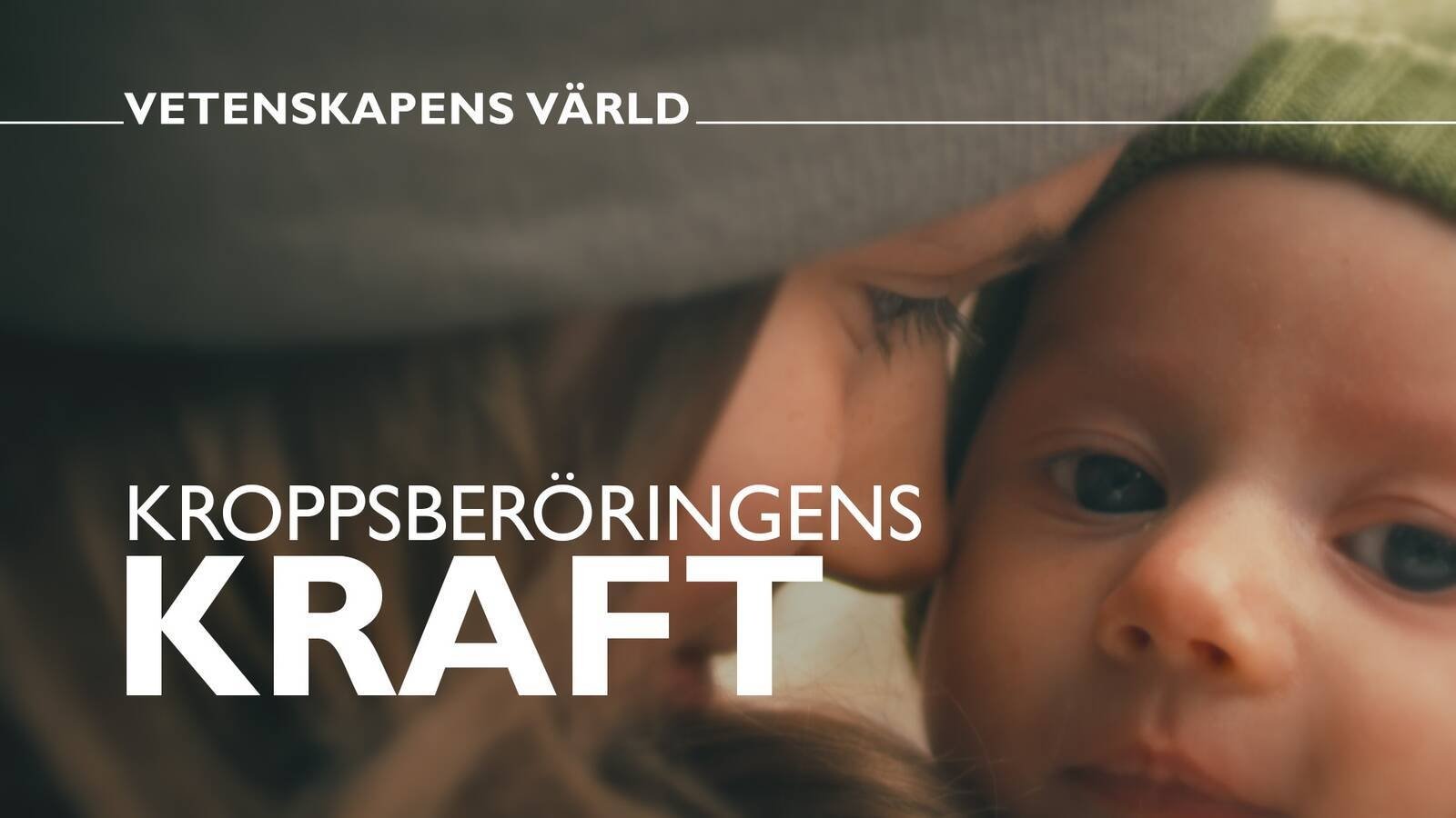 Vetenskapens värld