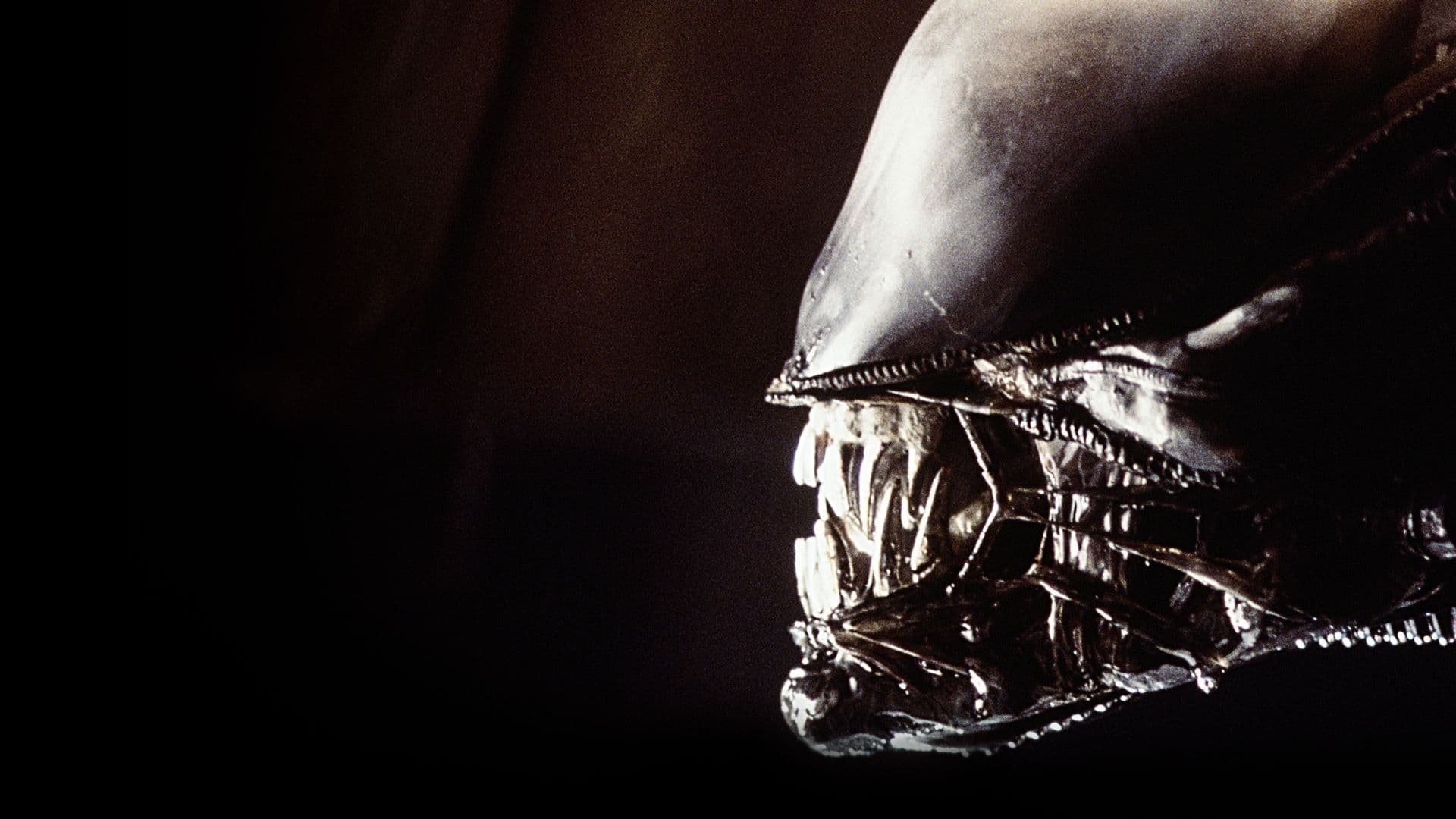 Image du film Aliens, le retour ndomdgobwhqzlhxye5ko6djld3yjpg