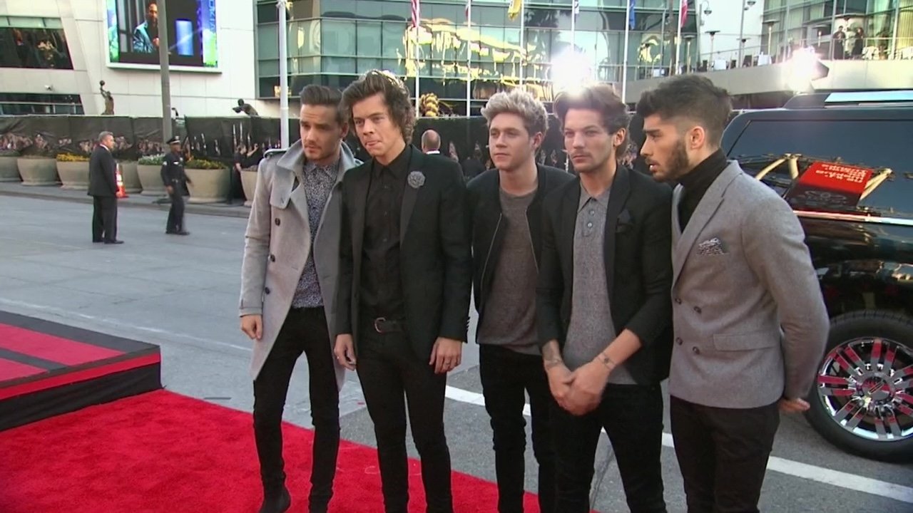 One Direction: The Inside Story (2014)